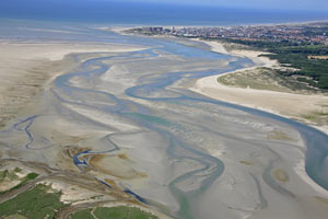 Baie d'Authie