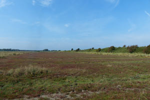 Baie d'Authie Rive sud