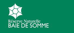 Réserve Naturelle de la Baie de Somme