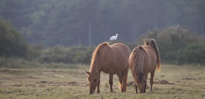 rencontres picardie somme