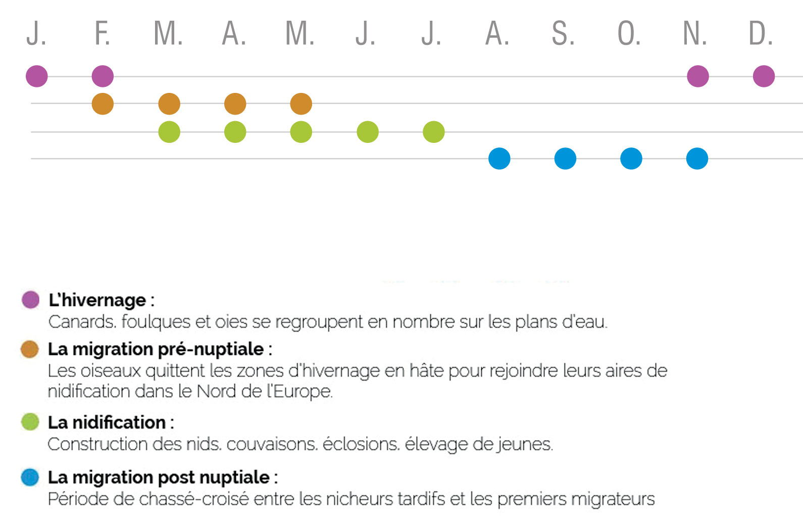 Calendrier des observations