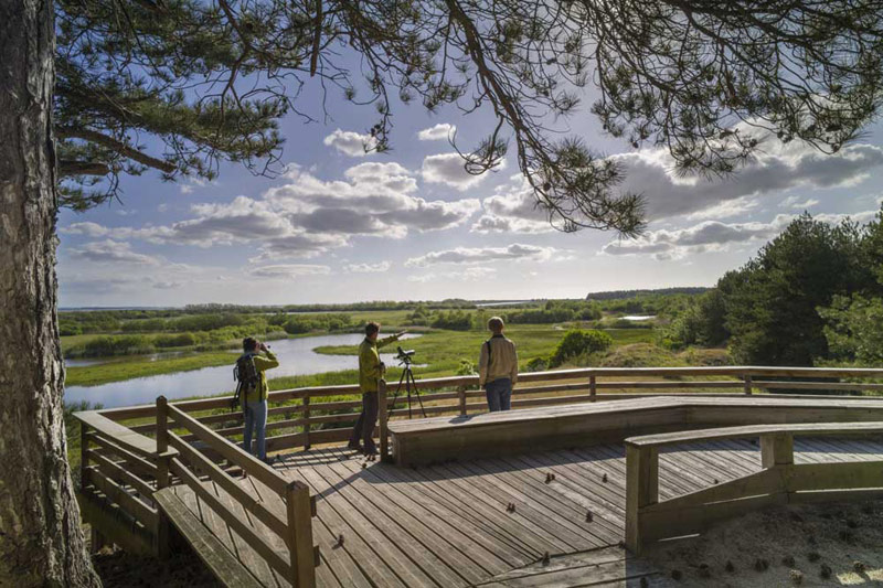 Parc du marquenterre