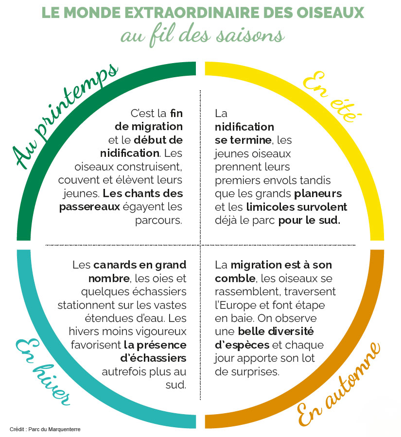 Calendrier des observations