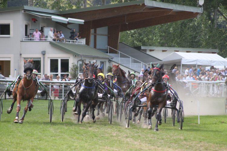 Hippodrome d'Abbeville : courses hippiques 