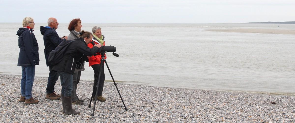 Noël en Baie de Somme Noël en Baie de Somme