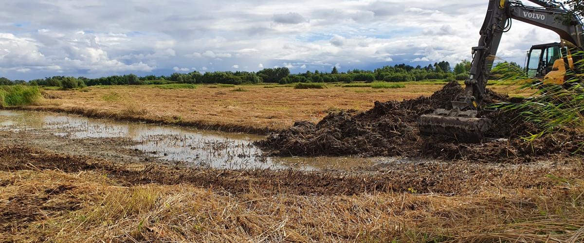 La Basse Vallée de Somme dévoile ses zones humides
