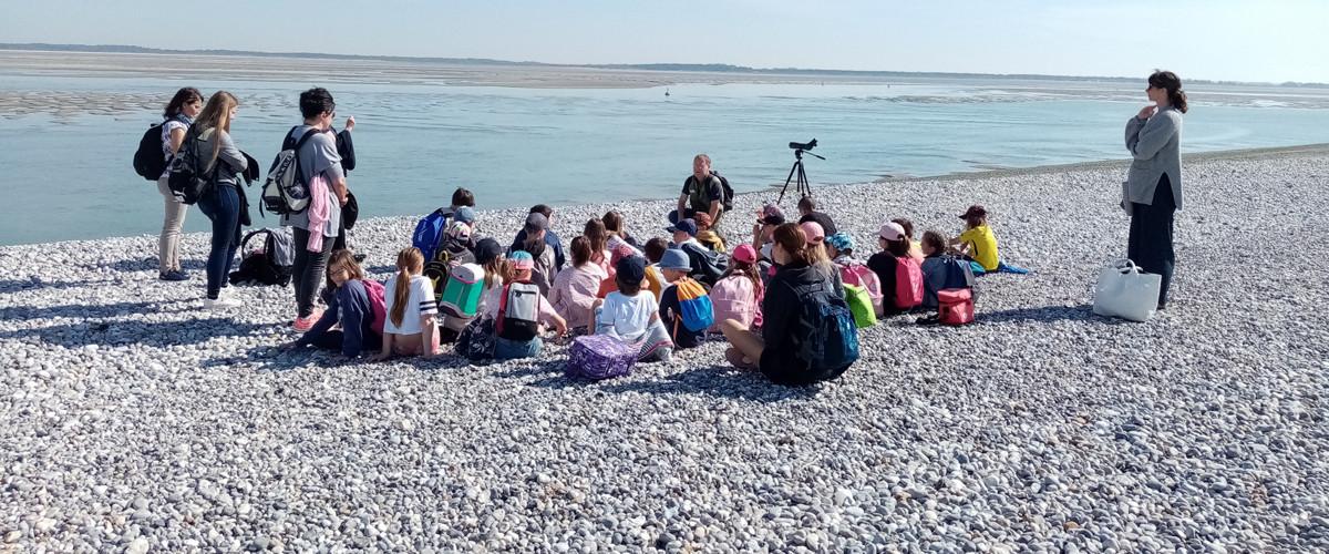 Zoom sur l'Aire Marine Educative de Fort-Mahon Plage