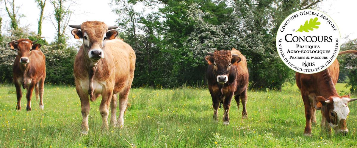 C’est reparti pour le Concours des Pratiques Agroécologiques !