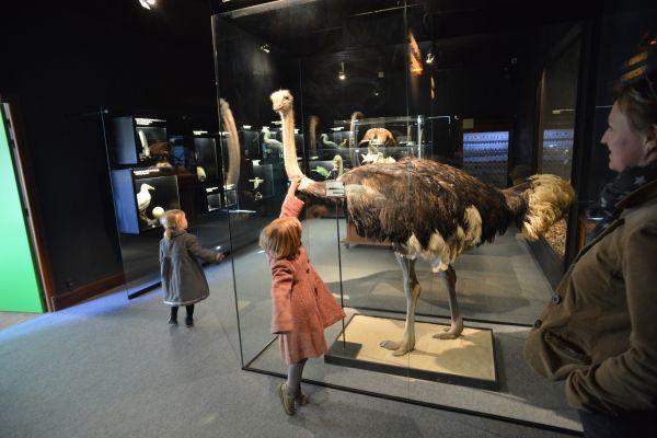 La salle des records