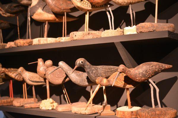 La collection de blettes