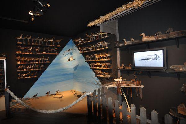 La collection de blettes