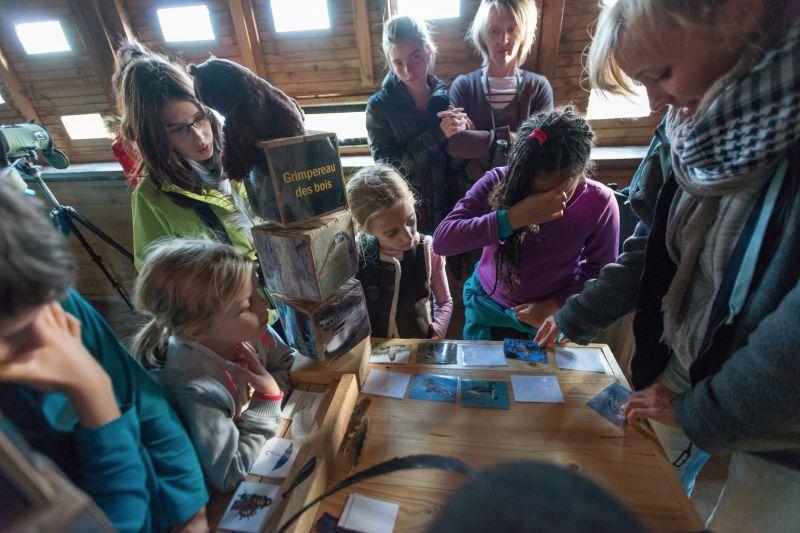 Parc du Marquenterre