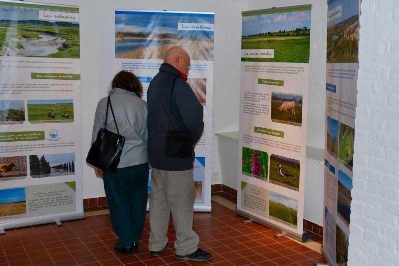 Exposition présentant le site Ramsar et diversité des zones humides