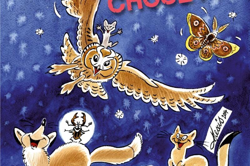 Nuit de la chouette