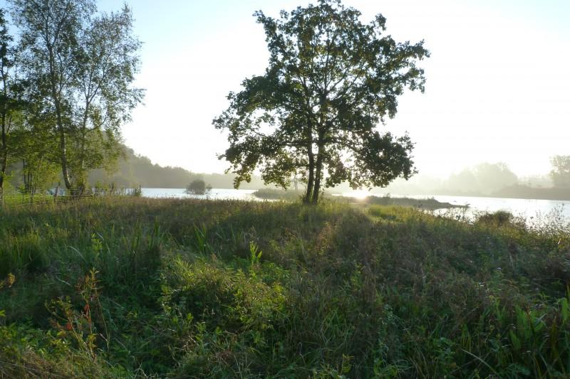 Marais de la Maye