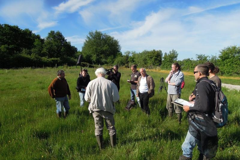 Concours prairies fleuries