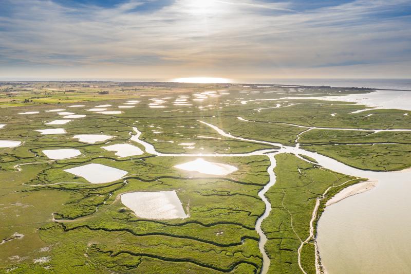 Baie de Somme