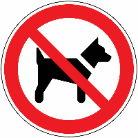 Dog not allowed even on a leash