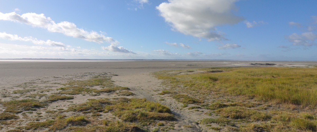 Réserve Naturelle Nationale de la Baie de Somme