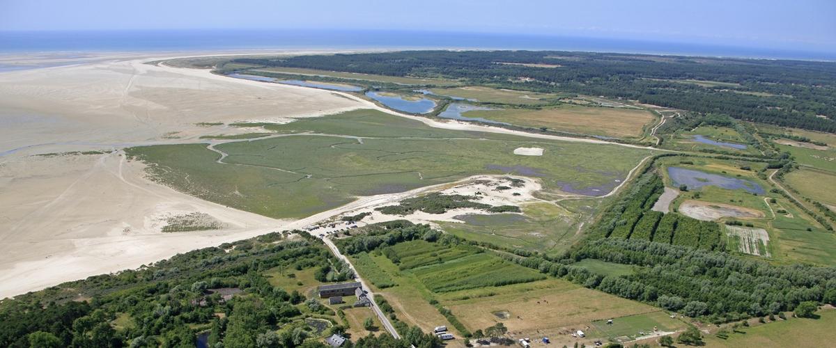 Grand Marquenterre