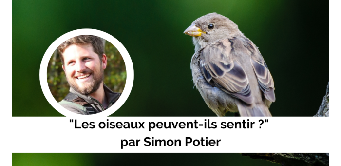 Conférence