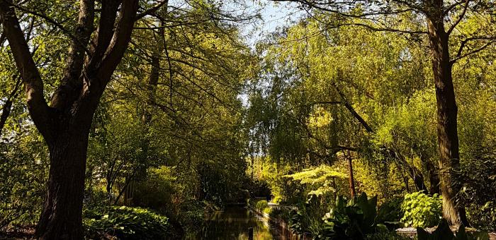 Arbre, quel est ton nom ?