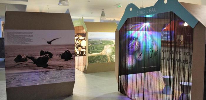 Estuaires : vues du ciel, vies du sable