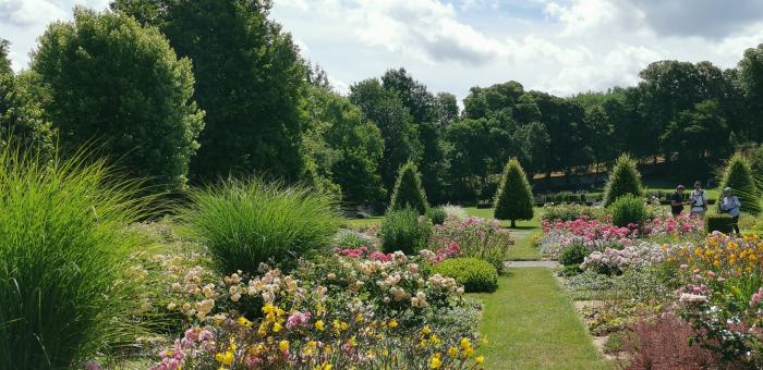 Les plantes font des prouesses !
