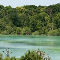 L’HISTOIRE NATURELLE DES HAUTS-DE-FRANCE