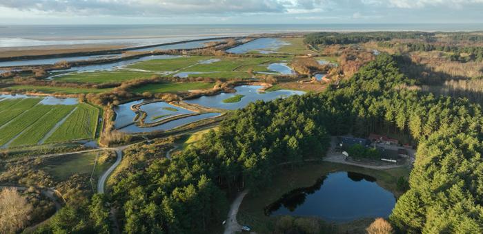 Wetland biodiversity