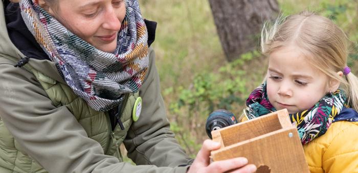 Construis ton nichoir à passereaux