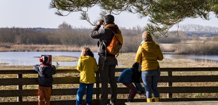 Découverte des oiseaux hivernants