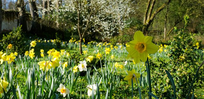 Le Printemps du Département 