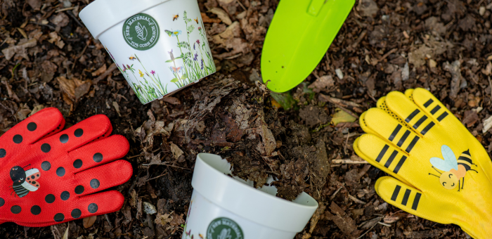 Atelier jardinage : planter des bulbes pour le printemps 